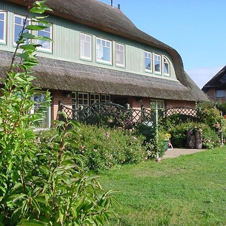 Ferienwohnung Nr 09 Eg 博恩 外观 照片